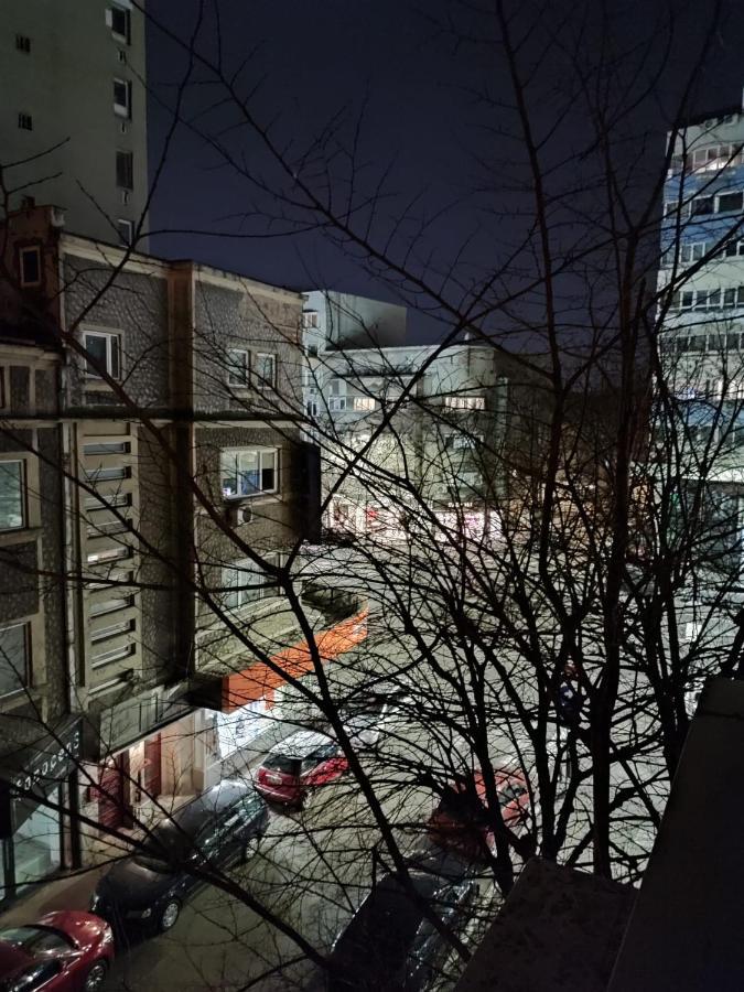 Dorobanti Apartment Bukarest Eksteriør billede